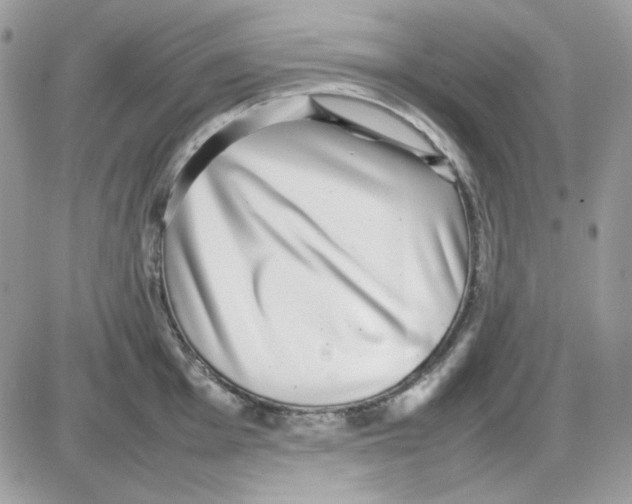 X0000085831001200704132033