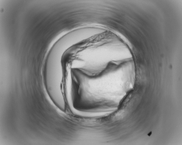 X0000085831007200704132033