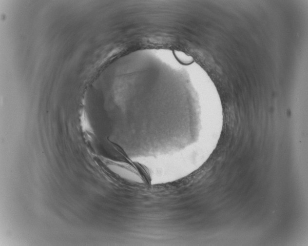 X0000085831009200704132032