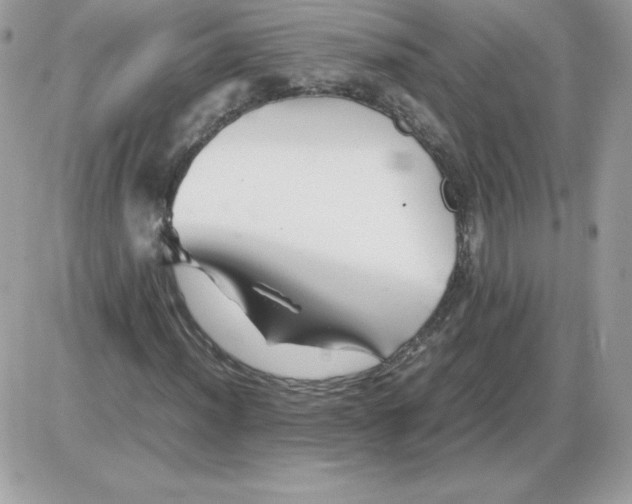 X0000085831012200704132032
