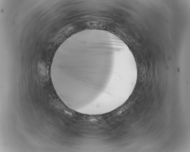 X0000085831013200704132032