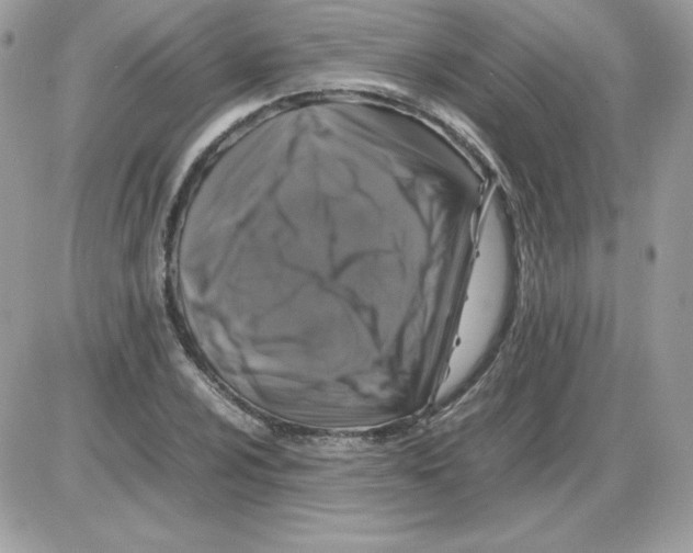 X0000085831024200704132032