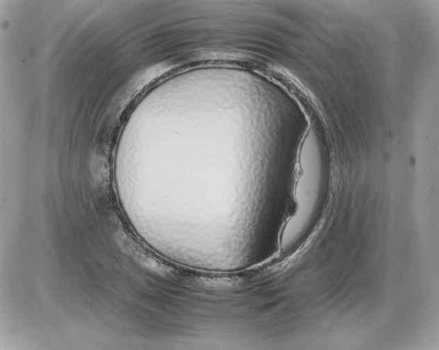 X0000085831025200704132032
