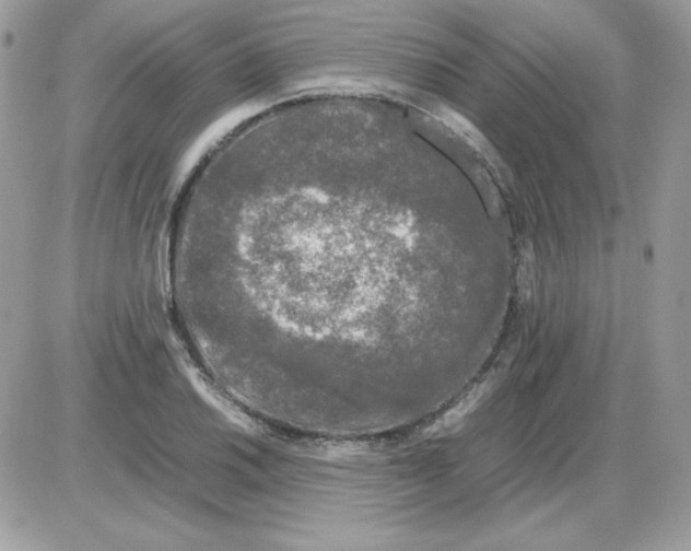 X0000085831030200704132032