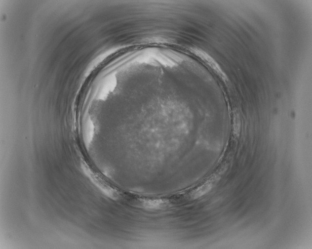 X0000085831031200704132032