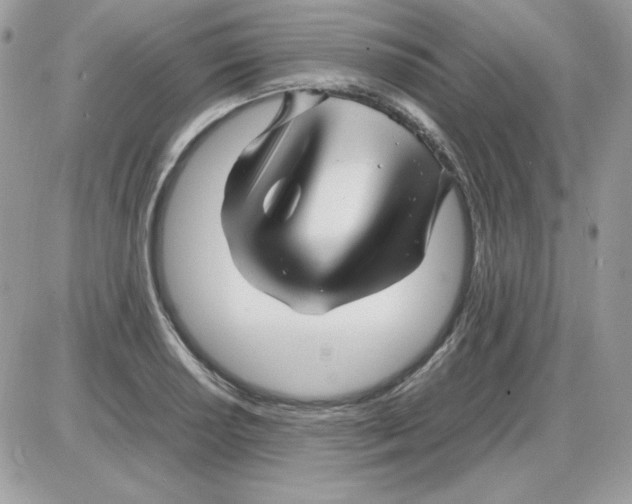 X0000085831034200704132032