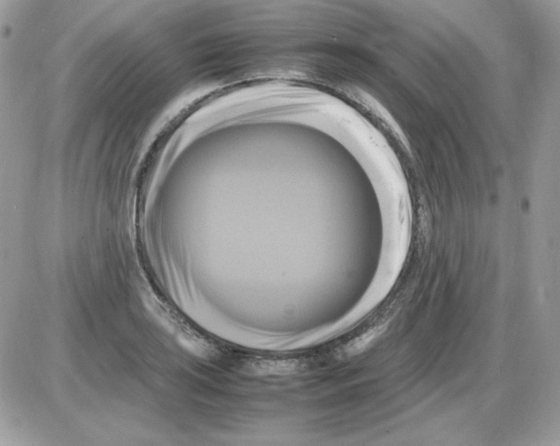 X0000085831035200704132032