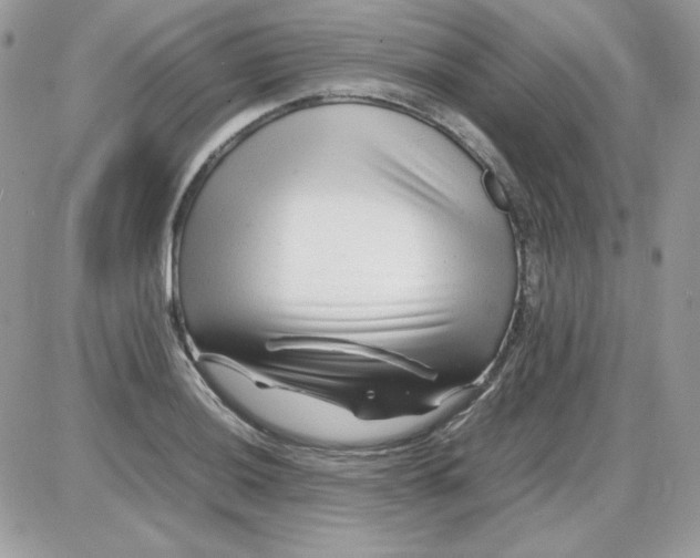 X0000085831036200704132032