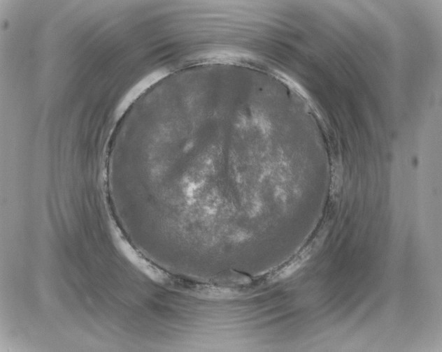 X0000085831042200704132032