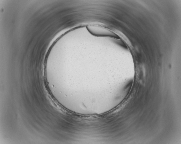 X0000085831044200704132032