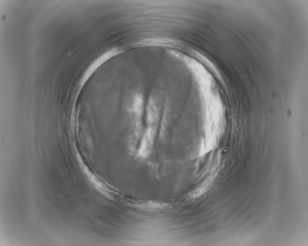 X0000085831050200704132032