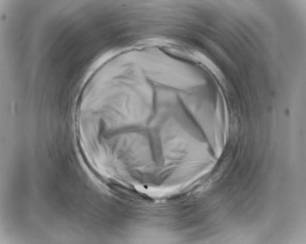 X0000085831055200704132033