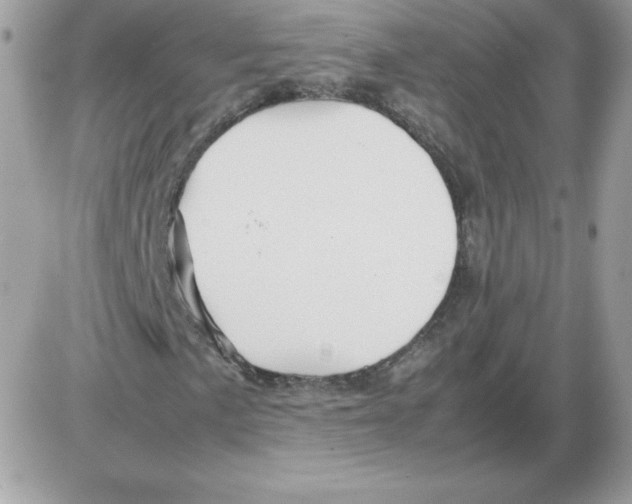 X0000085831057200704132032