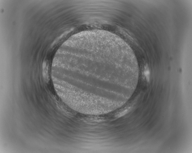 X0000085831060200704132032