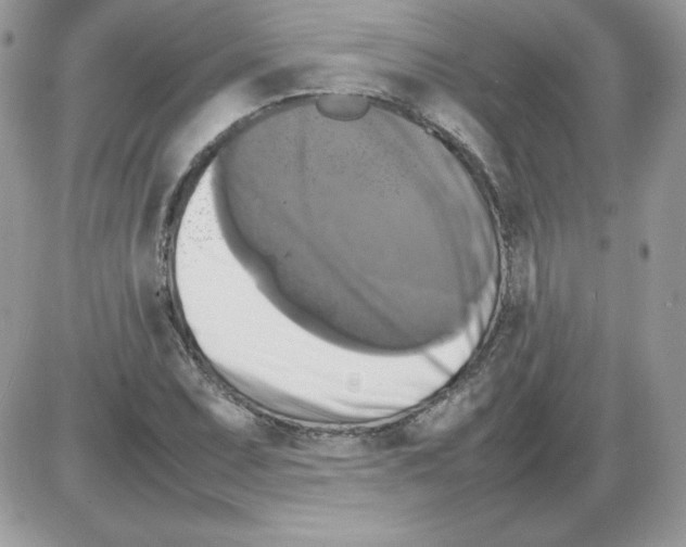 X0000085831071200704132032
