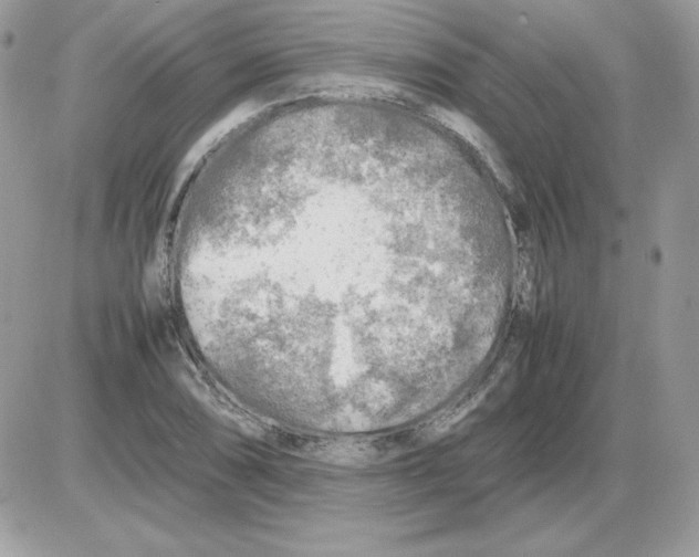 X0000085831074200704132032