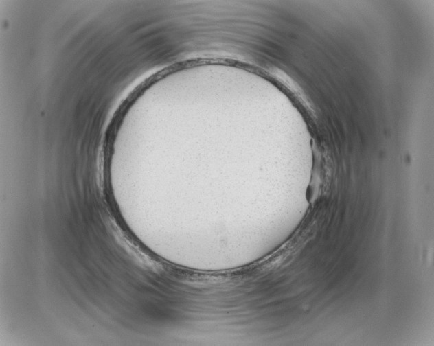 X0000085831076200704132031