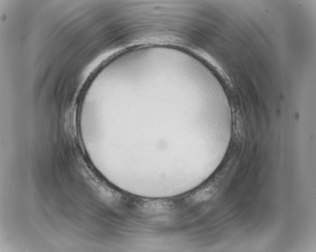 X0000085831078200704132031