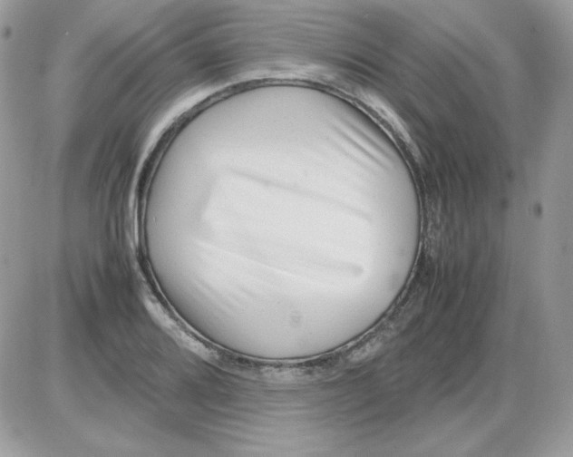X0000085831080200704132031