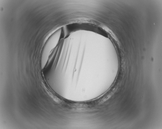 X0000085831081200704132031