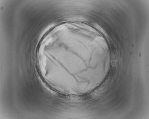 X0000085831087200704132031