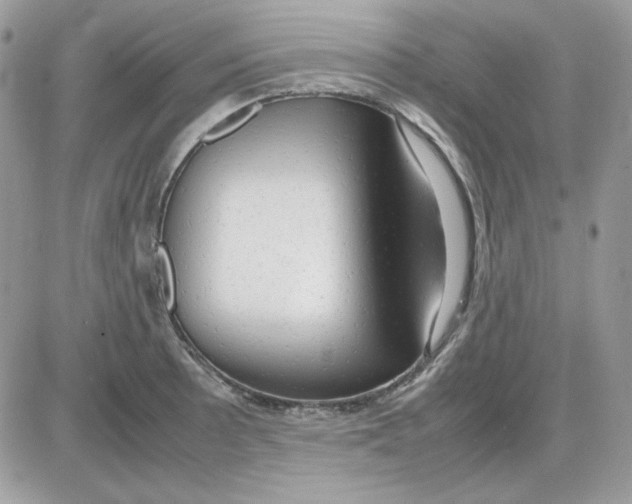 X0000085831089200704132031