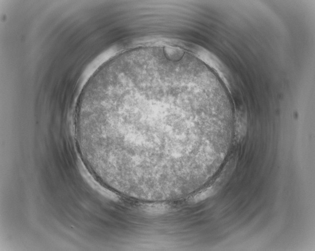 X0000085831090200704132031