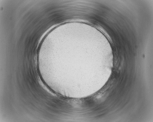 X0000085831092200704132031