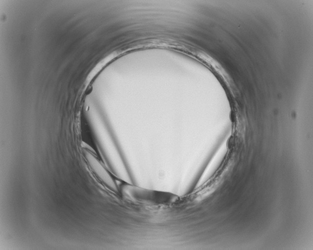 X0000085831097200704132031