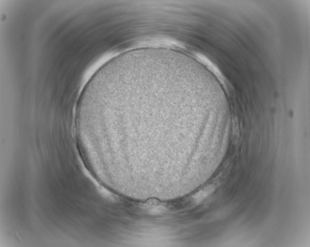 X0000085831103200704132031
