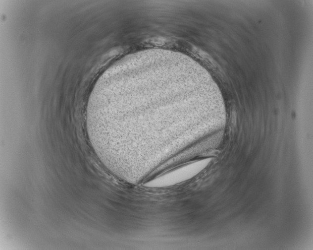 X0000085831105200704132030