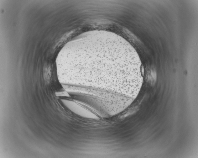 X0000085831108200704132030