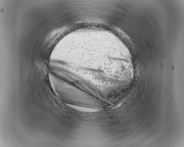 X0000085831110200704132030