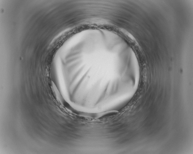 X0000085831112200704132030