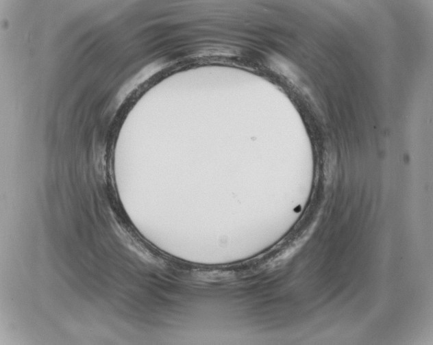 X0000085831113200704132030