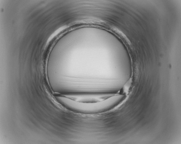 X0000085831114200704132030