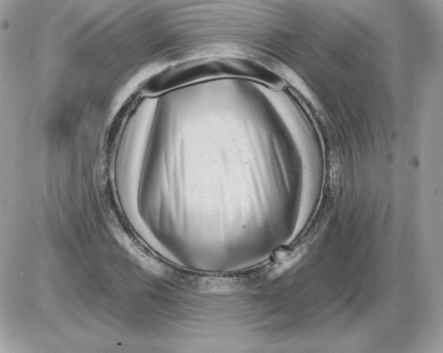 X0000085831116200704132030