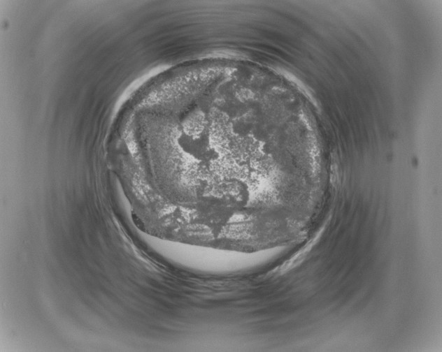 X0000085831117200704132030