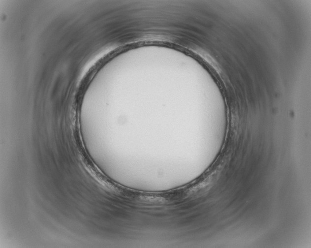 X0000085831119200704132030