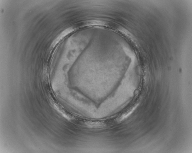 X0000085831121200704132030