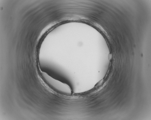 X0000085831122200704132030