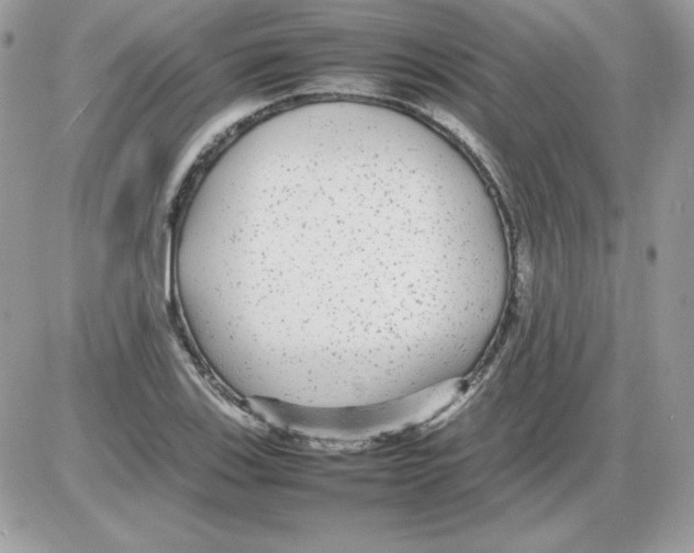 X0000085831123200704132031