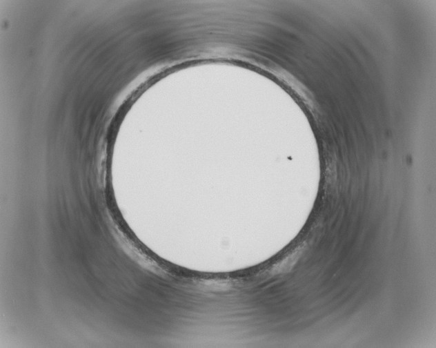 X0000085831126200704132031