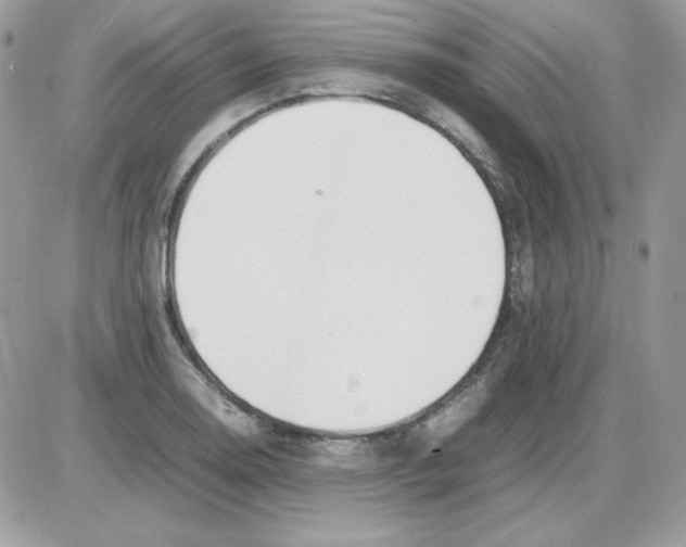X0000085831130200704132031