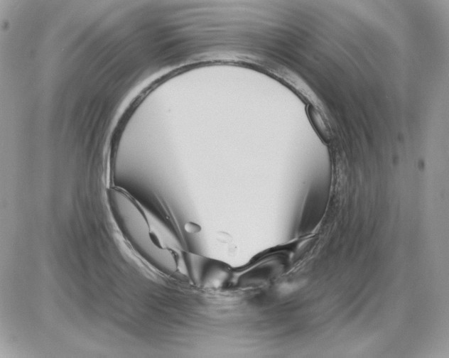 X0000085831132200704132031