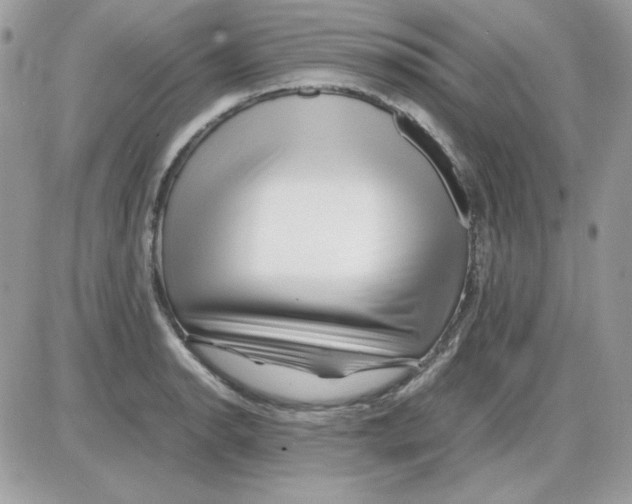 X0000085831134200704132031