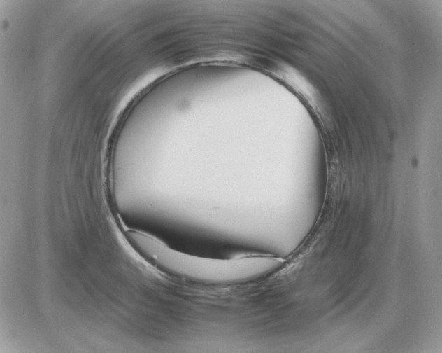 X0000085831135200704132031