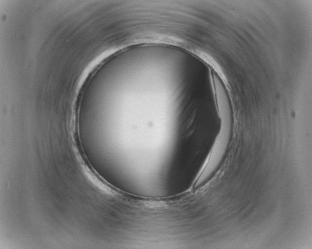 X0000085831136200704132031
