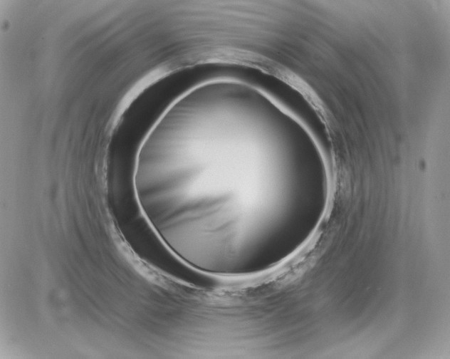 X0000085831138200704132031