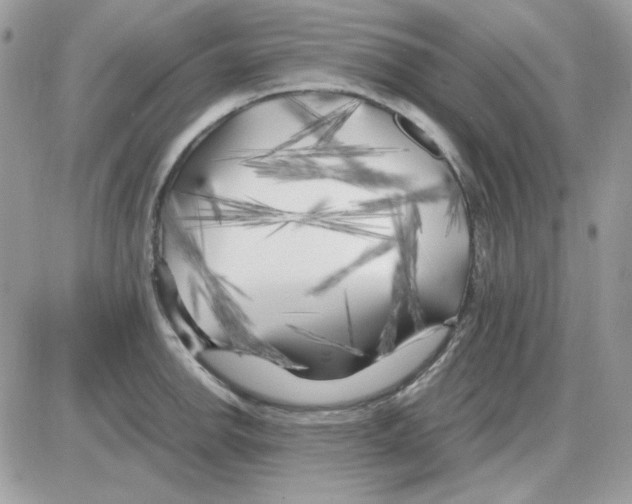 X0000085831142200704132031